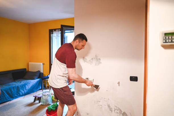 Best Toxic Mold Removal  in Lake Darby, OH