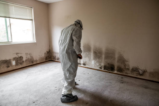 Lake Darby, OH Mold Removal Company